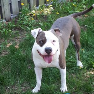 Meet your Posher, Lori